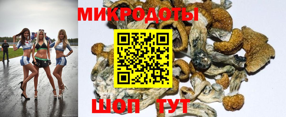 Елизово  Псилоцибиновые грибы ЛСД  дарнет шоп  Вход с VPN 